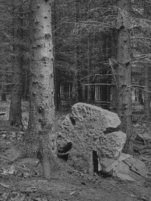 Tatzenkreuz : Börnersdorf, Steinkreuz (Tatzenkreuz; D 179) im Heidenholz, ostnordöstlich des Ortes, nördlich der Straße nach Hartmannsbach