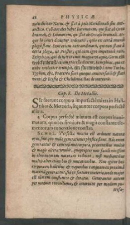 Cap. 8. De Metallis.