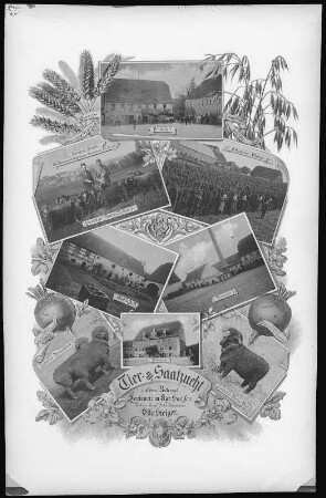 Leutewitz. Rittergut
