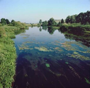 Donau zwischen Donaueschingen und Tuttlingen