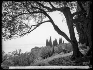 Blick über Punta San Vigilio