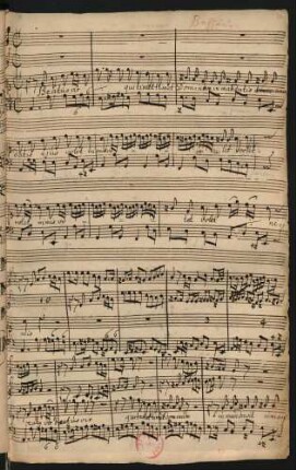 Beatus vir; S, strings, bc; a-Moll