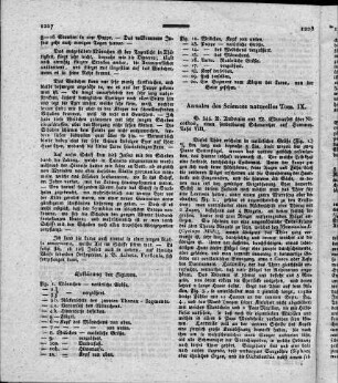 Annales des sciences naturelles. - Paris : Masson. - T. IX