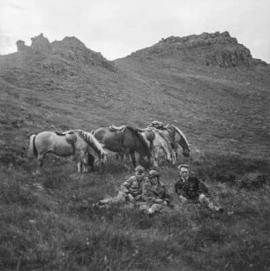 Rast : Gruppenfoto vor grasenden Islandponys. Im Hintergrund Berge