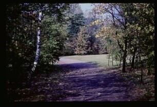 Tiergarten 30.10.65.