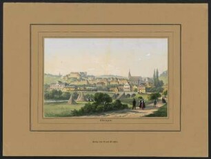 Tübingen. Ansicht von Süden mit dem Bahnhof : Kolorierte Lithographie