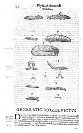 Tabula sexta