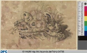 Auf dem Boden liegender, Trauben essender Putti