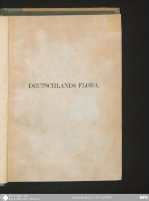 Bildbd. 1: Deutschlands Flora oder Abbildung und Beschreibung der wildwachsenden Pflanzen in der mitteleuropäischen Flora : Textbd. [nebst.] Abb.