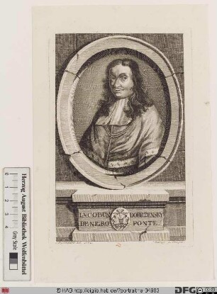 Bildnis Jacob Johann Wenzel Dobrzensky von Schwarzbruck (lat. de Nigro Ponte, tschech. Dob řensky z Cerneho Mostu)