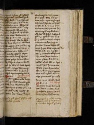 De abbate. Severus abbas dum vineam suam putaret venit quidam suus parrochialis petens …