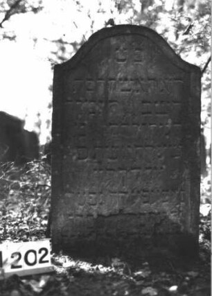 Grabstein 1202 (Index: 99899961) Material: Sandstein Zustand: unten stark verwittert Maße HxBxT: 96x59x10 cm Beschreibung: Stele mit Konvexbogenabschluss: Grabstein 1202