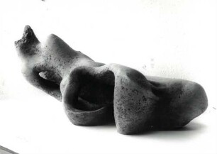 Torso