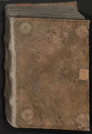 Albertus Magnus de veris virtutibus - BSB Clm 7714