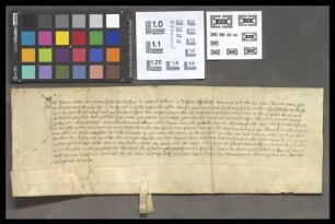 Bleichenbach: Henne Löw v. Steinfurt zu Echzell verkauft seine Besitzungen zu Bleichenbach am Wyprecht v.n Rosenbach