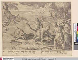 [Krokodiljagd in Ägypten; Crocodile hunt in Egypt]