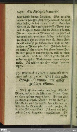 89. Ranunculus erectus hortensis flore luteo minori pleno. Die kleine gelbe Spiegel-Ranunkel mit gelber gefüllter Blume