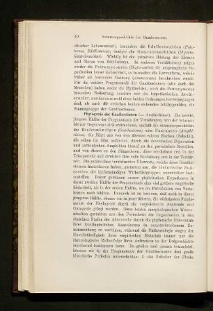 Phylogenie der Gnathostomen.