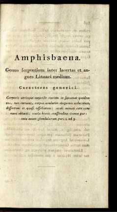 Amphisbaena.