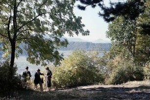 Neuffen: Waldweg mit Lichtung bei Neuffen