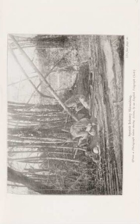 Spanish infantry skirmishing