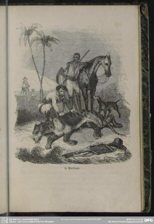 Le Vaillant