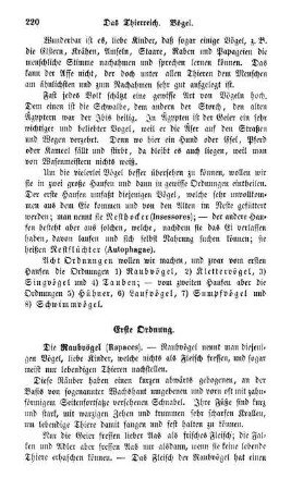 Erste Ordnung. Die Raubvögel (Rapaces)