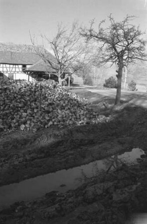 Golfclub Karlsruhe-Durlach. Vorschlag zur Einrichtung eines Golfplatzes auf dem Gelände um den Rittnerthof bei Durlach