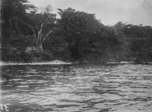 Insel Idjwi : Die Küste der Insel Idjwi im Lake Kivu