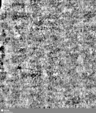Lilienschild + IESV / LW = S.9/10