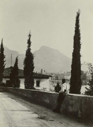 Italien. Zypressen in Riva del Garda