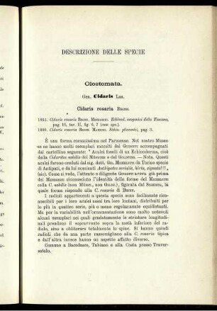 Descrizione Delle Specie