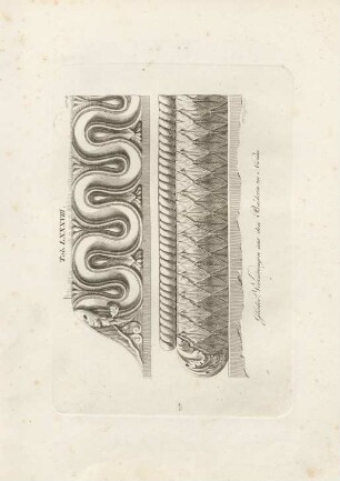Tab. LXXXVIII.