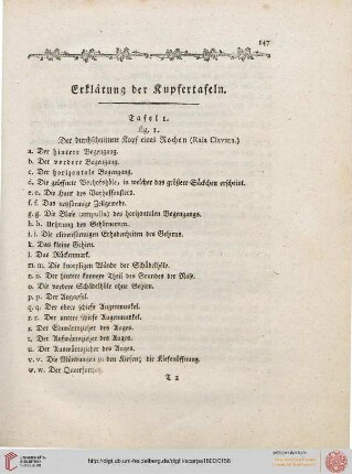 Erklärung der Kupfertafeln