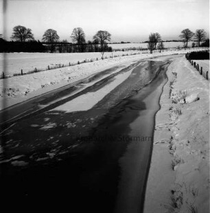 Trave: zugefrorener Fluss: hinten Bäume: Winter