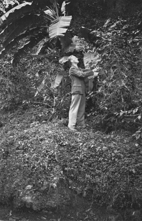 Reisefotos. Tourist im Urwald (vielleicht in Mexiko)