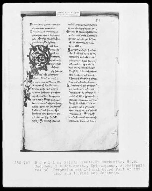 Neutestamentliche Schriften, Bibliorum sacrorum pars finalis — Initiale Q(uod fuit ab initio), Folio 56recto