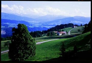 Sulzberg: Weissachtal mit Bregenzer Wald, von Sulzberg