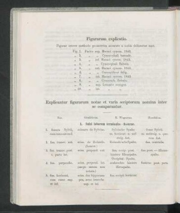 Figurarum explicatio.