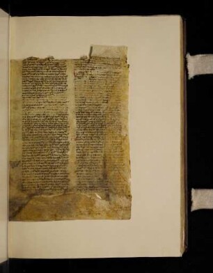 Fragment