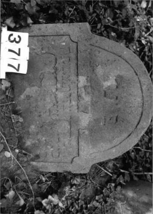 Grabstein 377 (Index: 99803599) Material: Sandstein Zustand: abgeblätt/eingesunk(befestigt)/Textverl. Maße HxBxT: 63x64x9 cm Beschreibung: Stele mit Karniesbogen und profiliertem Rand, Giebelfeld: Grabstein 377