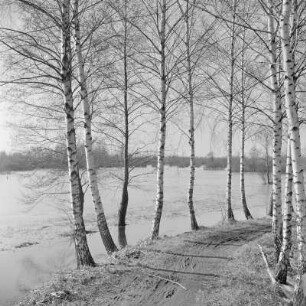Landschaftsbild. Frühling im Spreewald. Leiper Weg. Heuschober. Die Wiesen sind überschwemmt. : Wobraz krajiny. Nalěćo w Błótach. Puć w Lipjem. Kopjena (Stogi). Łuki su přepławjene.