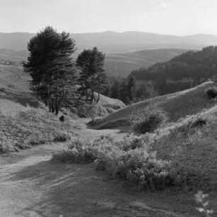 Landleben in den bulgarischen Rhodopen. Landschaftsbild