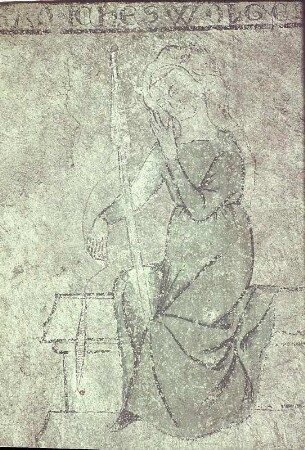 Spinnen