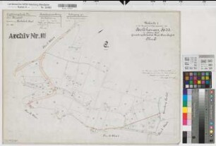 Billerbeck, Kspl. (Billerbeck), Zusammenlegung Holthausen-Gantweg, Urkarte I Flur C