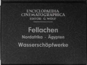 Fellachen (Nordafrika, Ägypten) - Wasserschöpfwerke