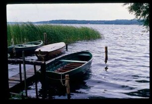 Scharmützelsee 11.8.78.