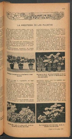 La anestesia de las plantas : Floricultura