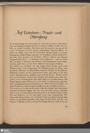 Auf Eidechsen-, Frosch- und Otternfang