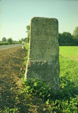 Timmerhorn: Grenzstein [Nr. 31] zwischen Gut Ahrensburg und Amt Tremsbüttel: Seite Tremsbüttel